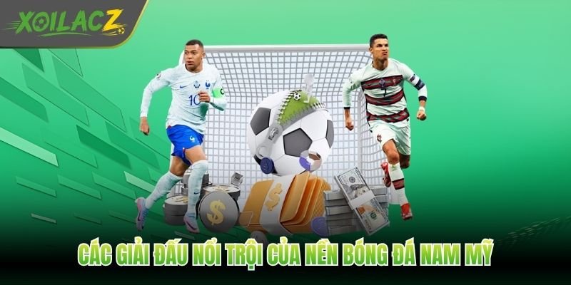 Các giải đấu nổi trội của nền bóng đá Nam Mỹ
