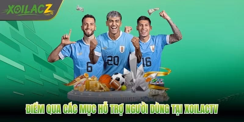 Điểm qua các mục hỗ trợ người dùng tại XoilacTV